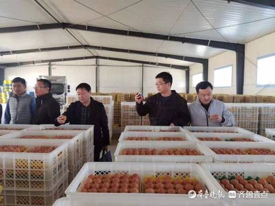 逯巖秘書長深入莘縣調研 畜牧漁業飼料銷售現狀與發展機遇