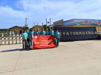 畜牧漁業飼料銷售 構建高效、綠色與可持續的現代養殖基石