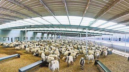 西藏加快建立以產業扶貧為中心的長效增收機制——畜牧漁業飼料銷售的轉型與升級